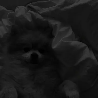 Profile image of 道枝駿佑