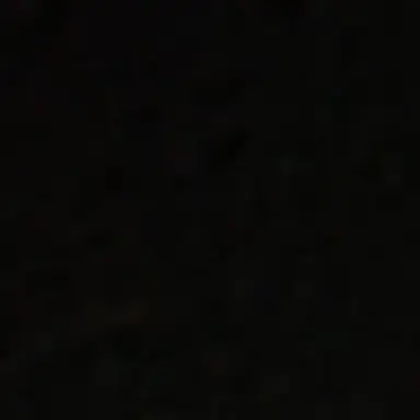 Profile image of 은호