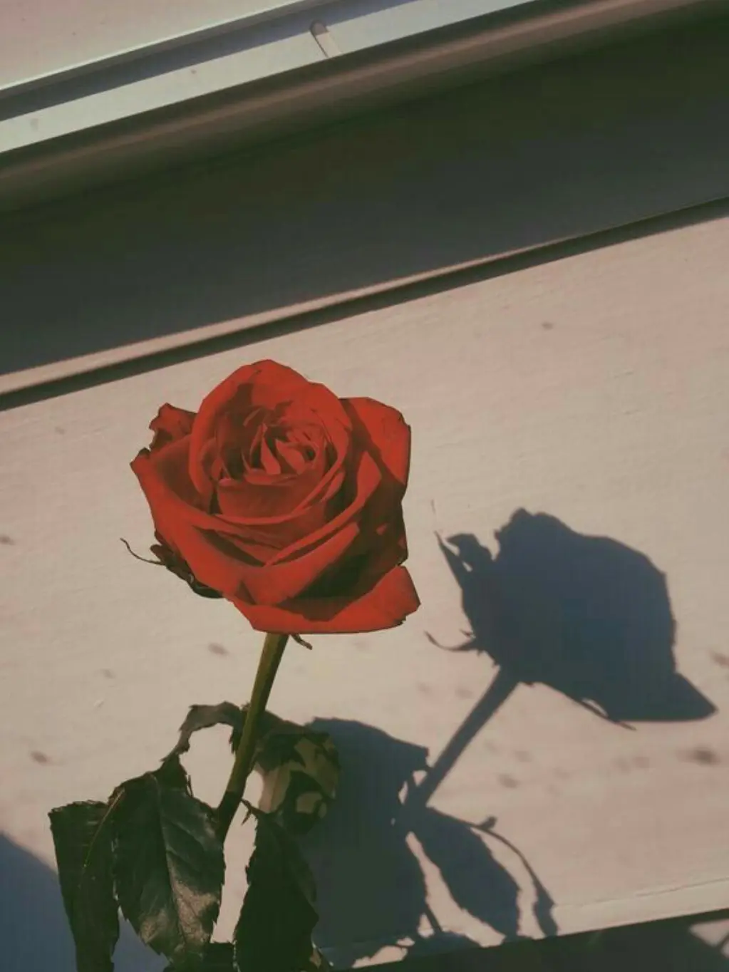 RuggedHero4037의 Your Boyfriend