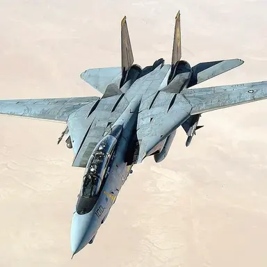 Profile image of F-14 톰켓