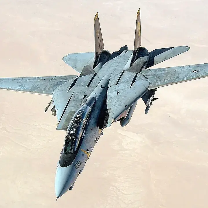 FrugalChime3370의 F-14 톰켓
