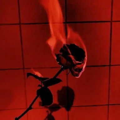 Profile image of 감재이