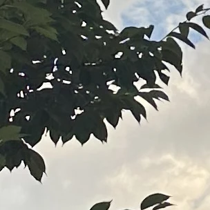 최슩철