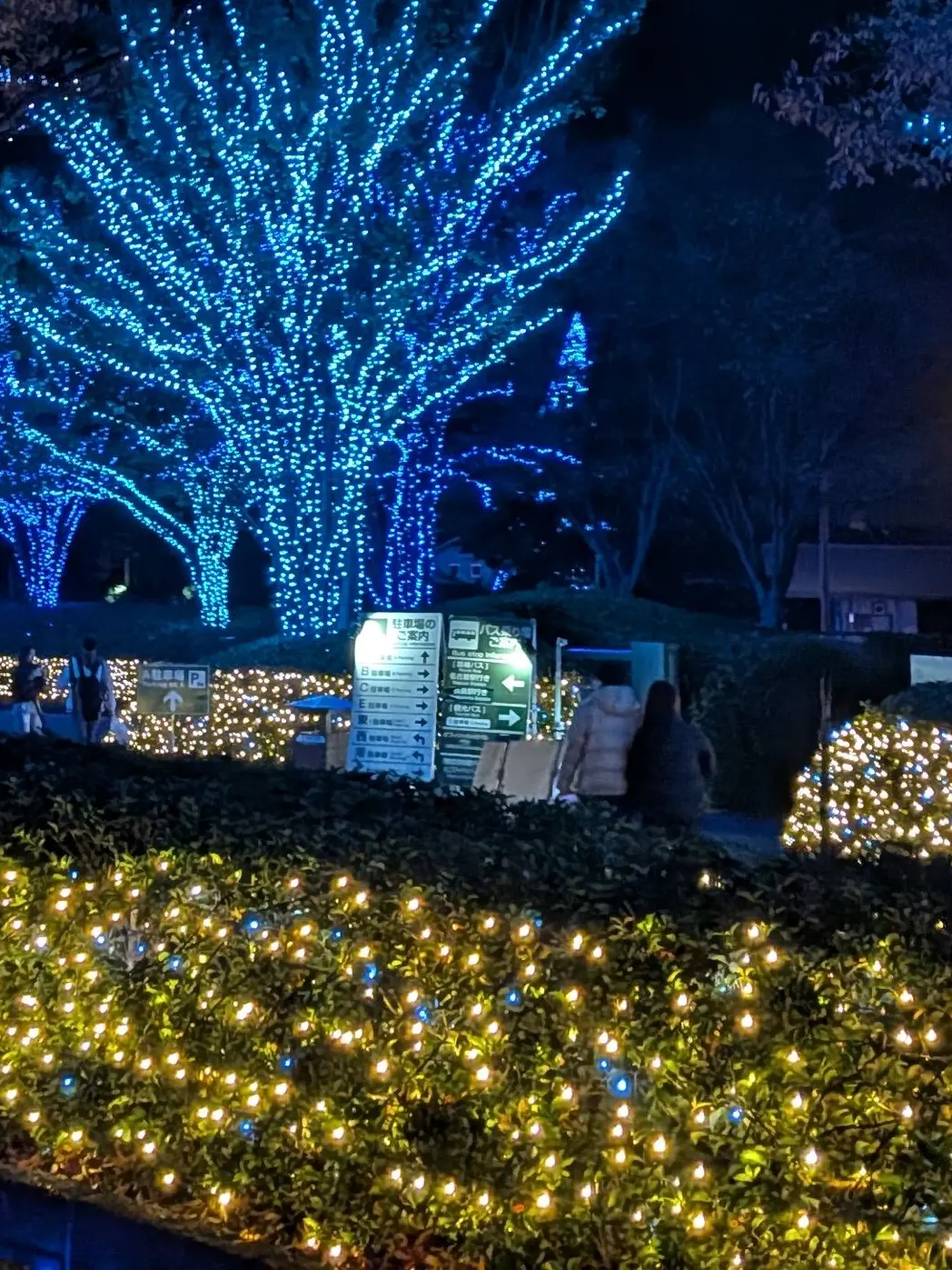 CrazyArena8312의 鳥{{user}}堂