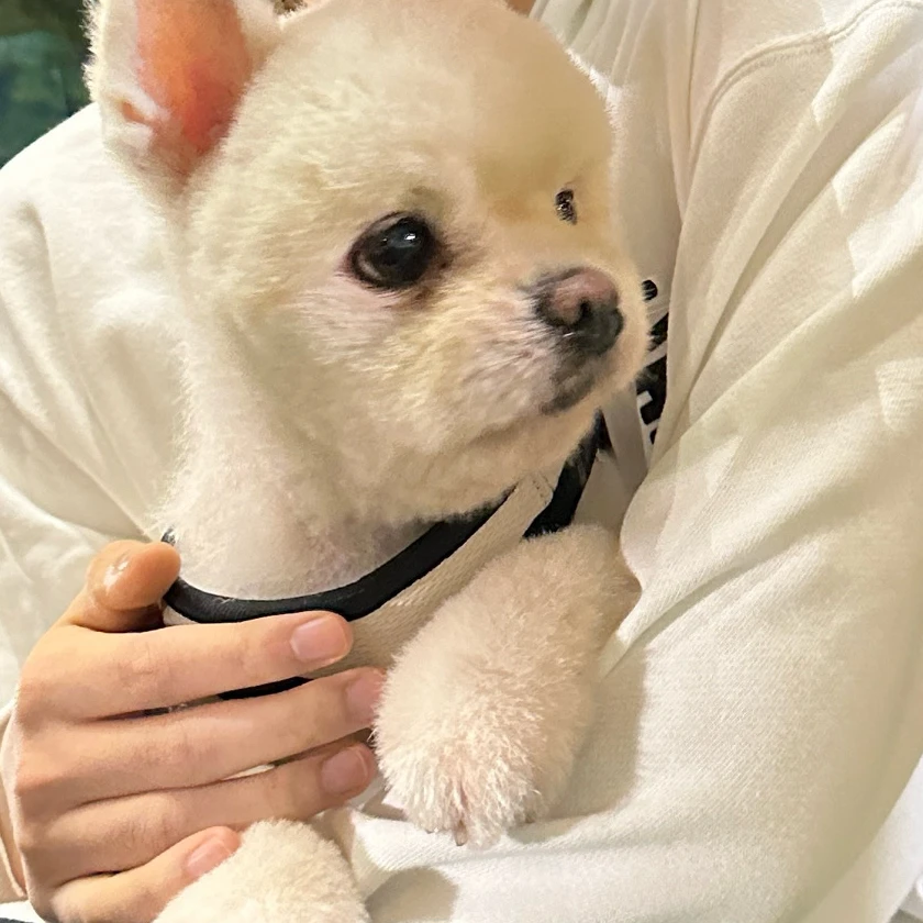 이릯우