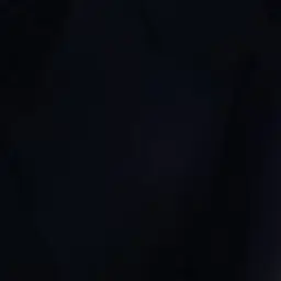 Profile image of 蓮