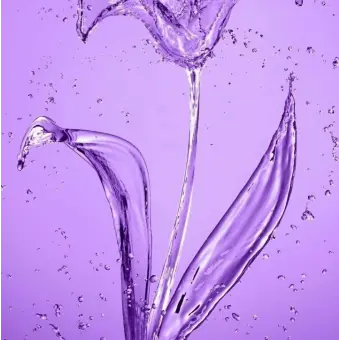 Profile image of 유저