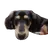 むむ