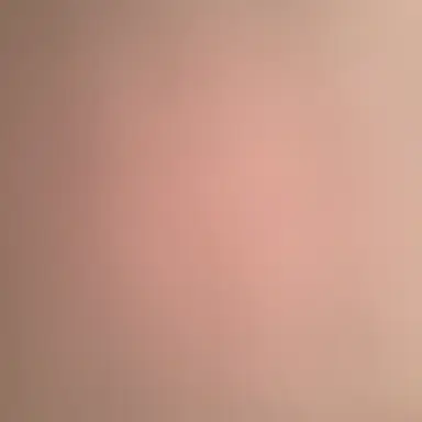 Profile image of 김도훈