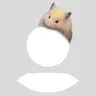 Profile image of 김도영
