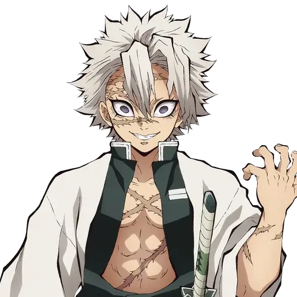 시나즈가와 사네미