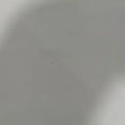 BoringSnore4299의 幼馴染三人に取り合われてるんだが……