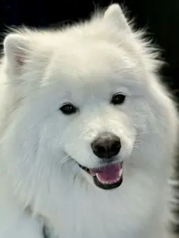 Profile image of 한아린