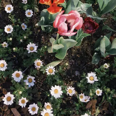 Profile image of 이윤하