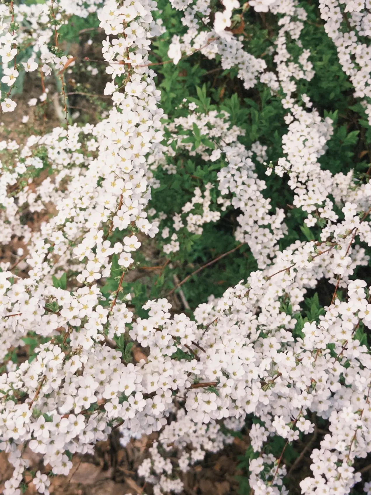 7373_eee의 부부관찰일지