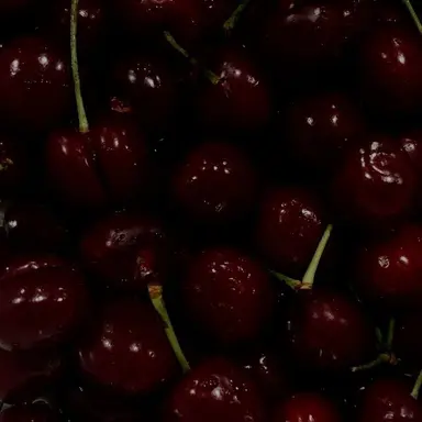 Profile image of 서한솔