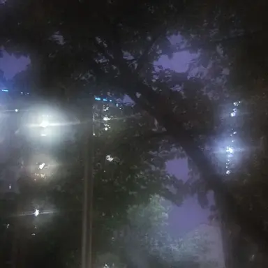 Profile image of 황수현