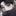 정시현