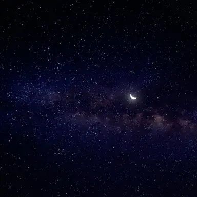 Profile image of 최민우