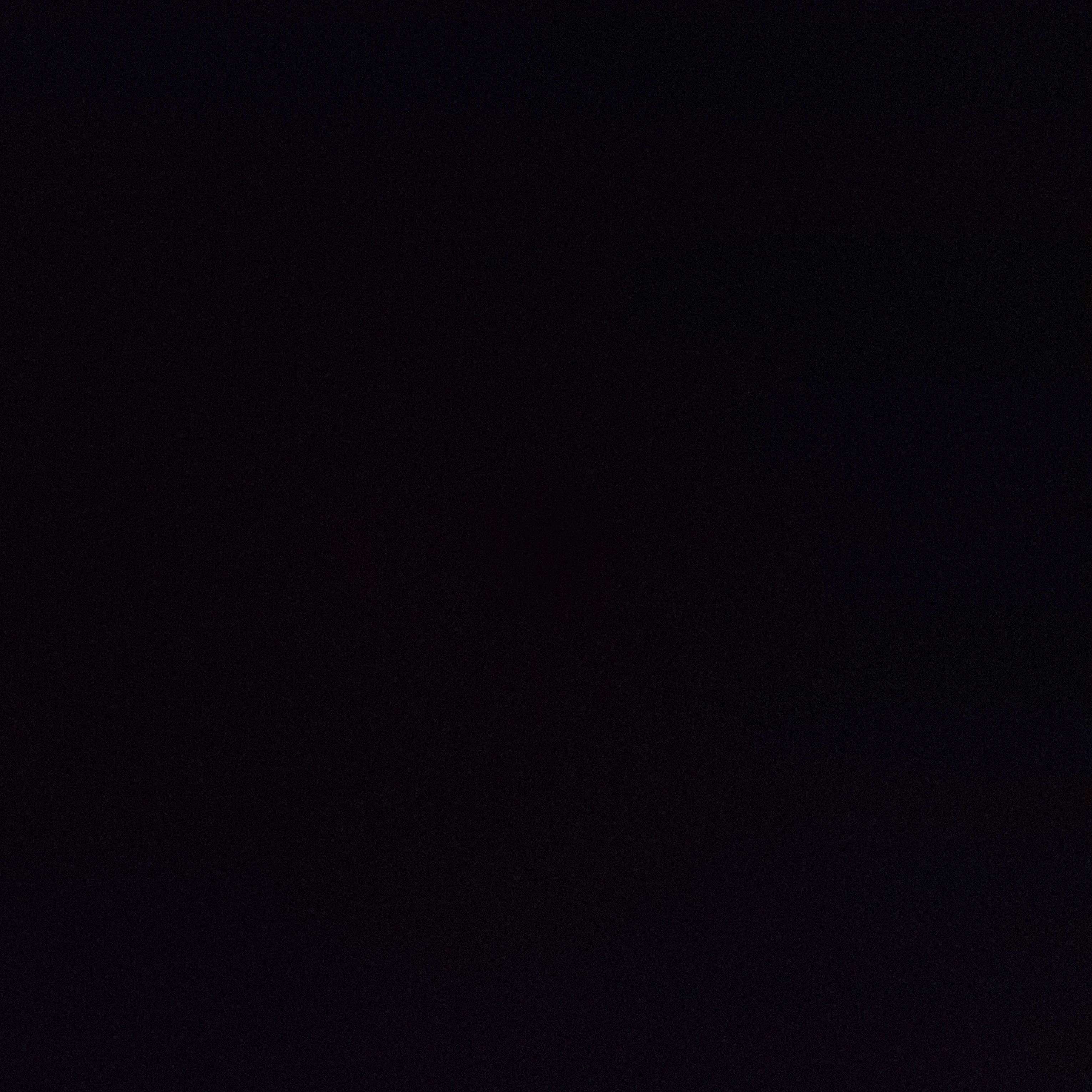 조우안신