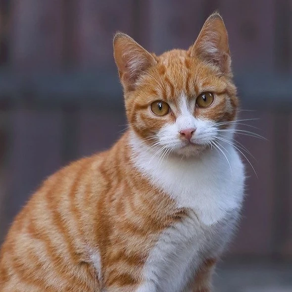 이민호