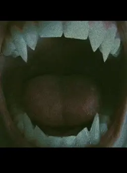 Profile image of Caleb