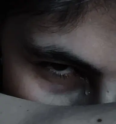 Profile image of Felix