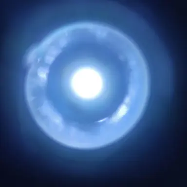 Profile image of 紫
