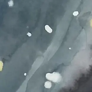 Profile image of ドーイ