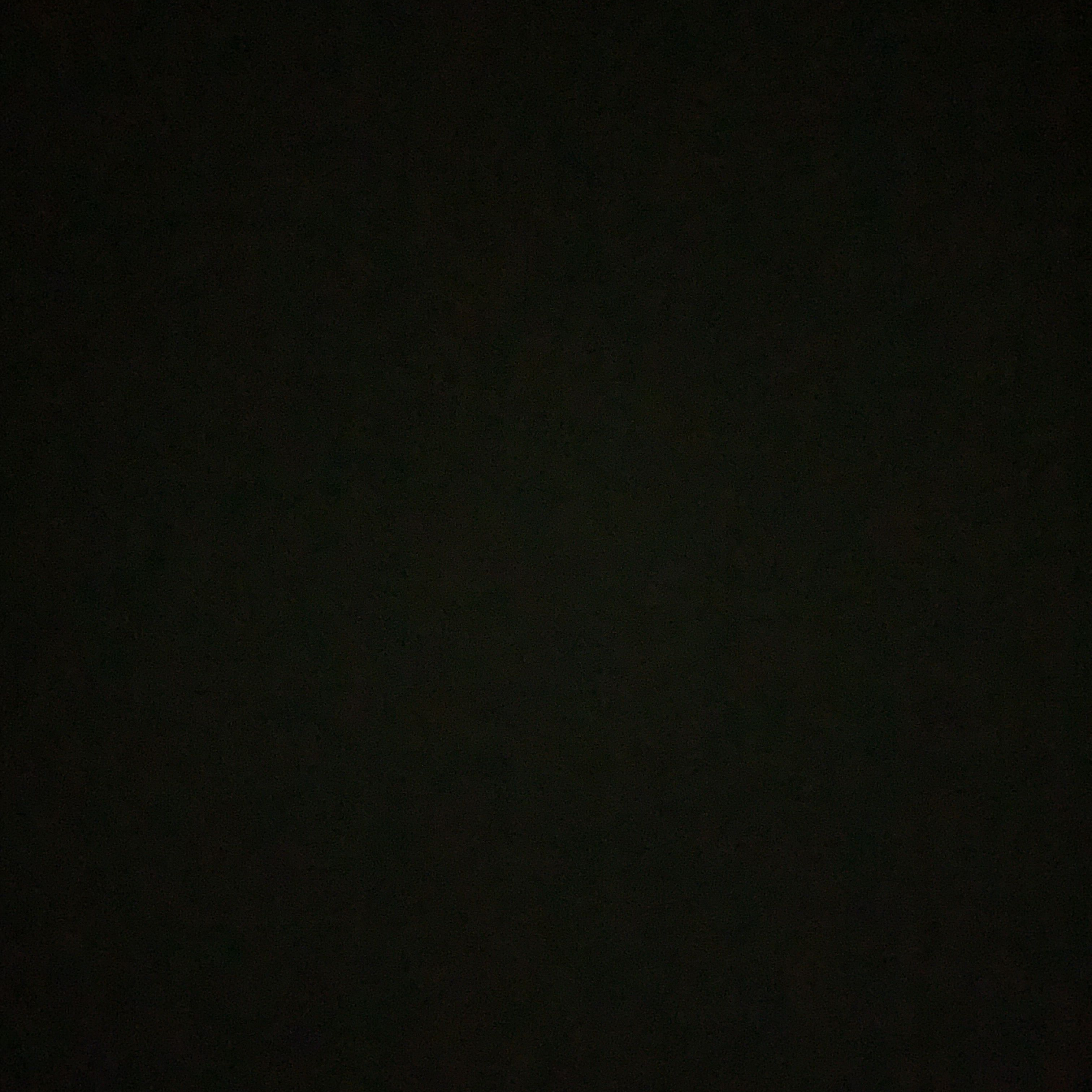 연시은 대표 이미지