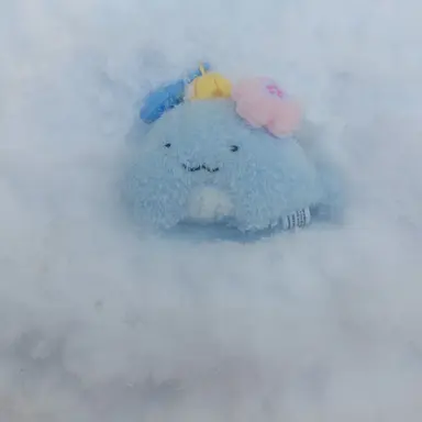 Profile image of 공지