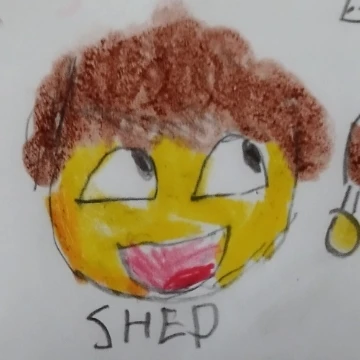 シェド