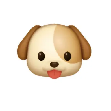 Profile image of 백지헌