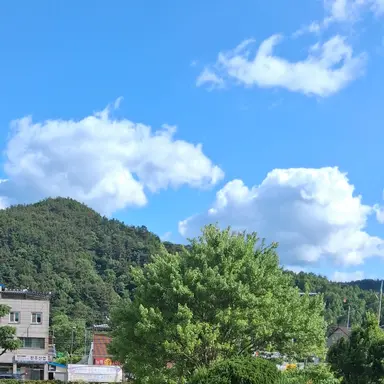Profile image of 평학