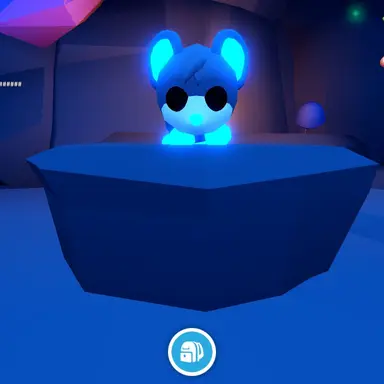 Profile image of 쥐