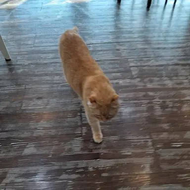 Profile image of 라이