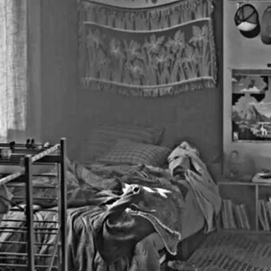 Profile image of 이은호