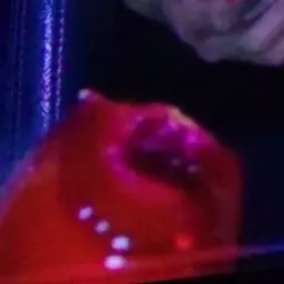 Profile image of 赤崎修斗