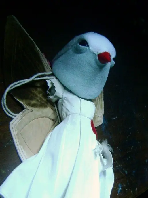 Dreamcoreinscreen의 𝓑𝓲𝓻𝓭 𝓼𝓸𝓷𝓰