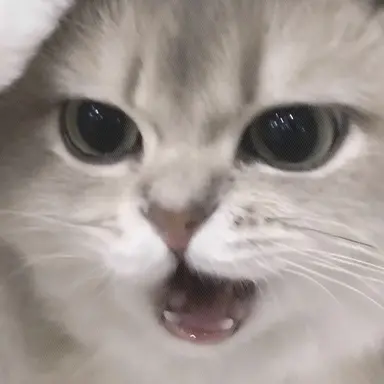 Profile image of 최산