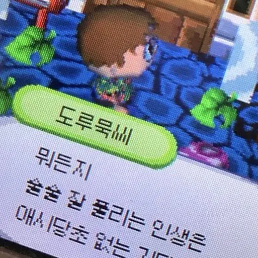 song_2085의 "happy birthday 야쿠"