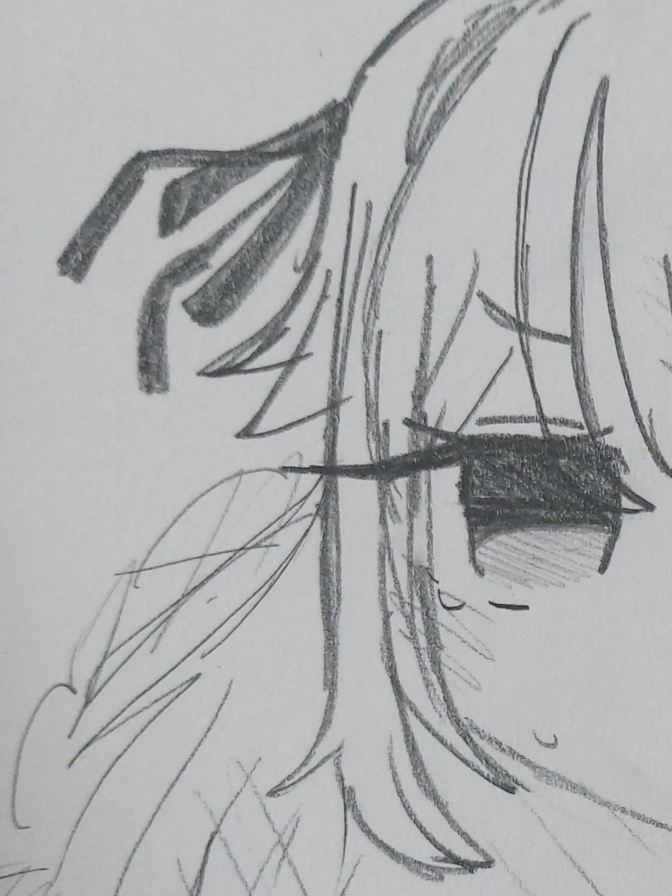 Expirationdate의 티샤