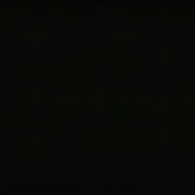 Profile image of Observer