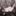 遥樹