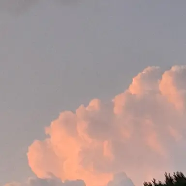 Profile image of 김준희