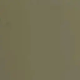 Profile image of 정형준