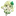 스우