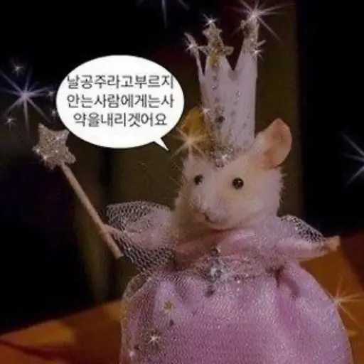 l.0o_uV.x0의 공주병 걸린 애들의 채팅방