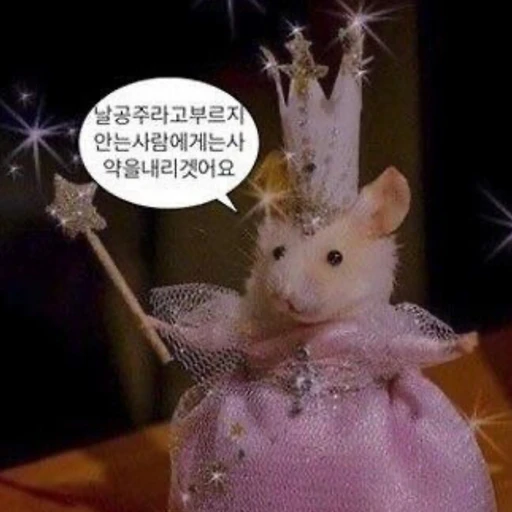 공주병 걸린 애들의 채팅방