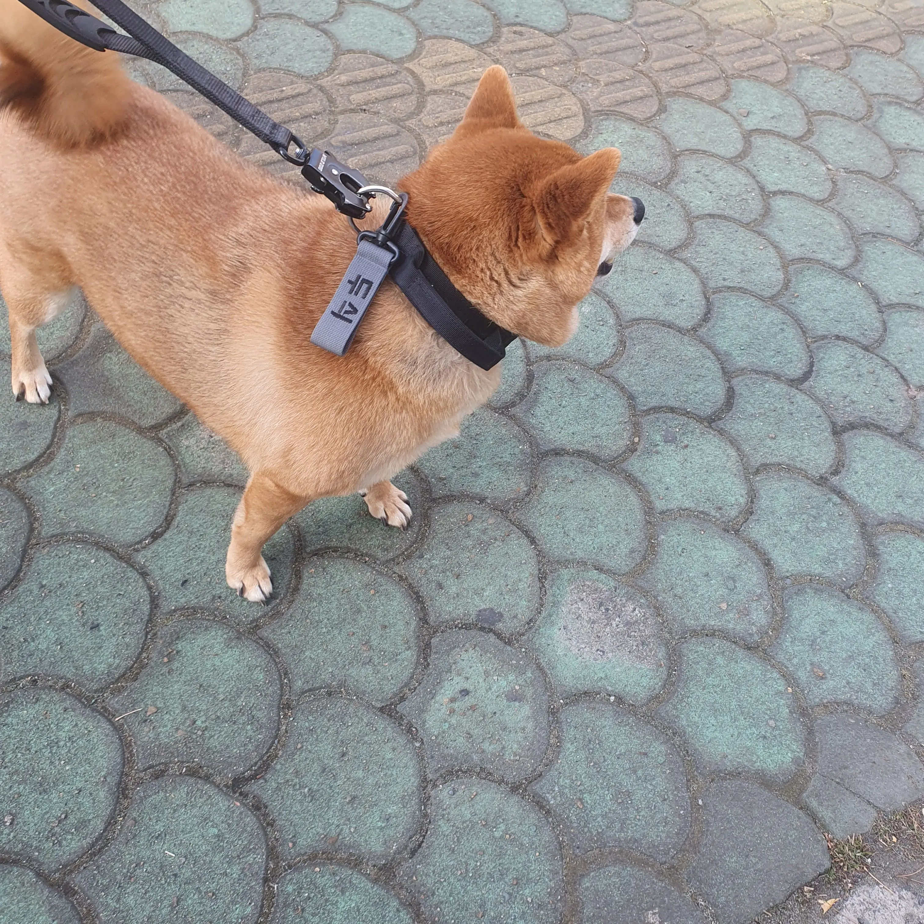 SheerJeans0121의 환승연애4